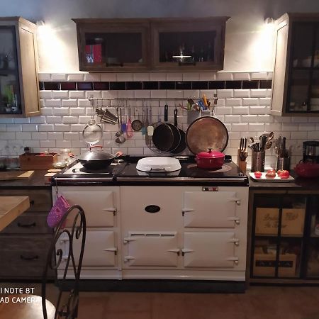 Les Amis De Gaure Apartment Rouffiac-d'Aude Ngoại thất bức ảnh